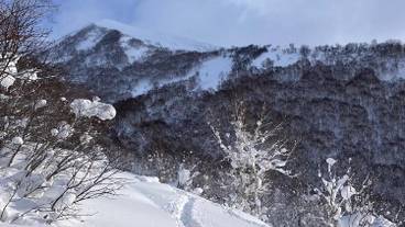 スノー スポーツとスキー / 14