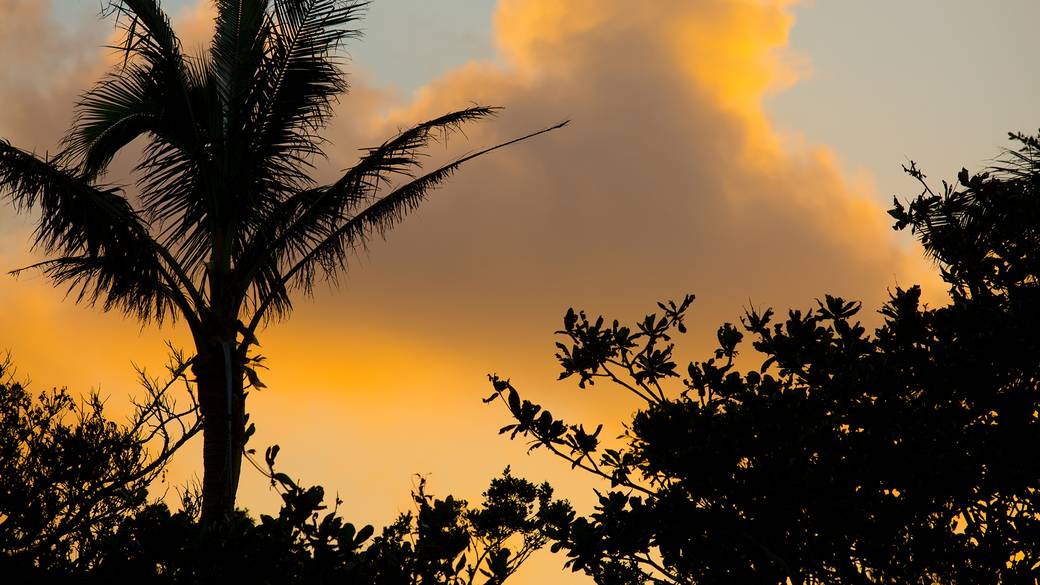 沖縄の自然に
たっぷり癒されて / 1