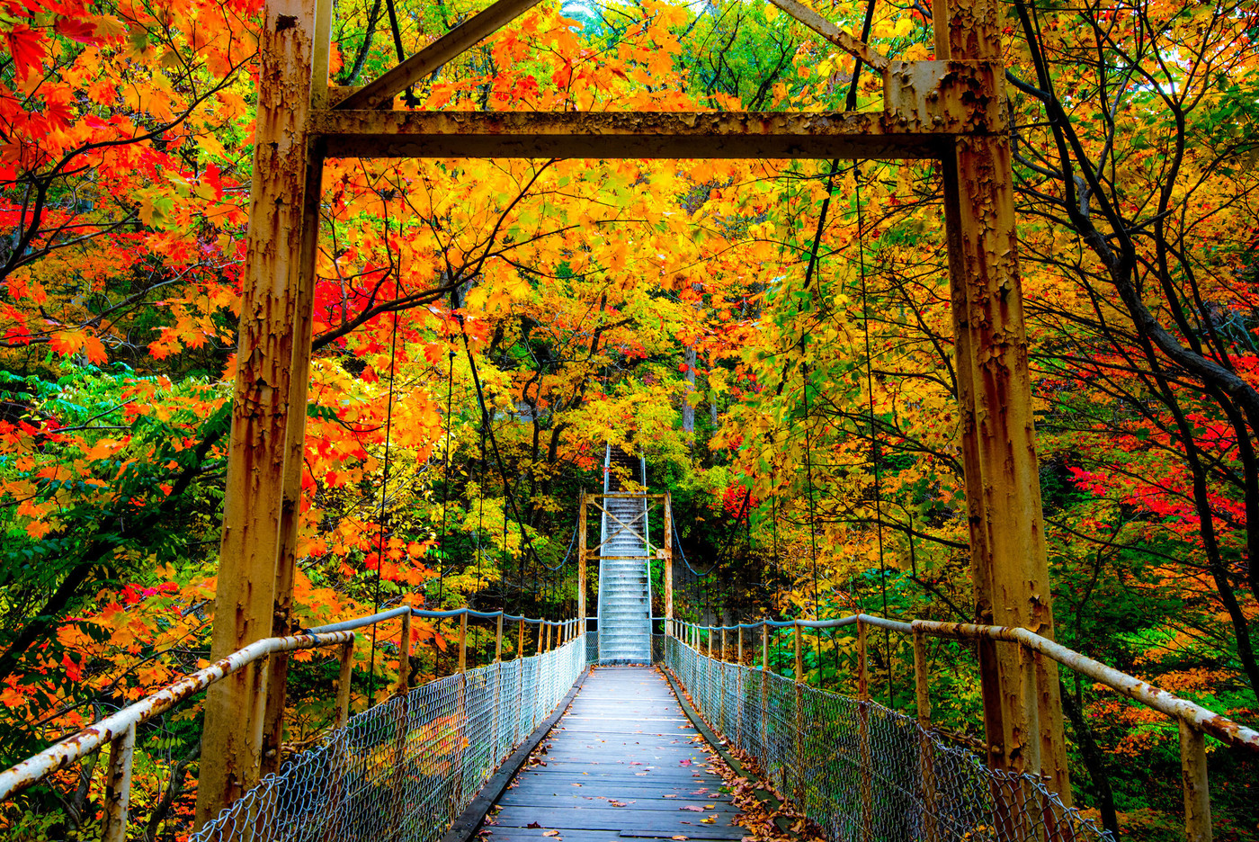 秋色に染まる　花巻温泉郷
