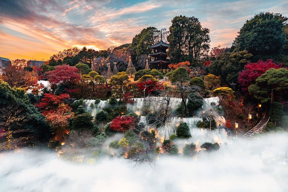 東京にいることを忘れる。ガーデンを眺めながら美食を堪能4244883