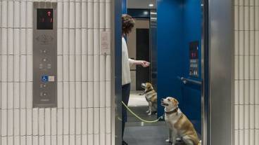 エレベーター / 2