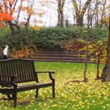 秋の中庭の風景 / 4