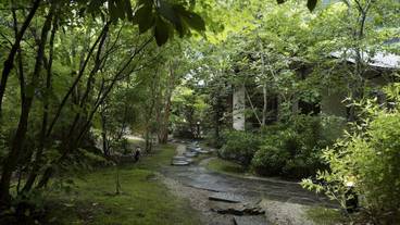 施設からの眺望 / 20