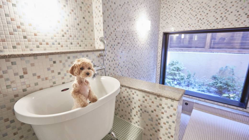 お風呂でのんびり
癒しのひと時 / 3