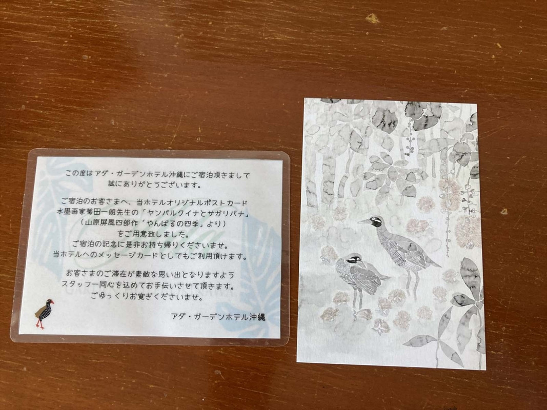 素敵な絵葉書がいただけました