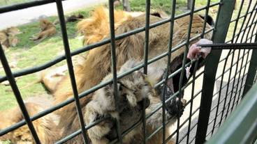 観光スポット / 10