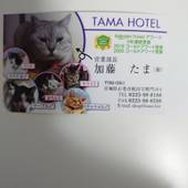 TAMA HOTEL（宮城県 ビジネスホテル） / 2