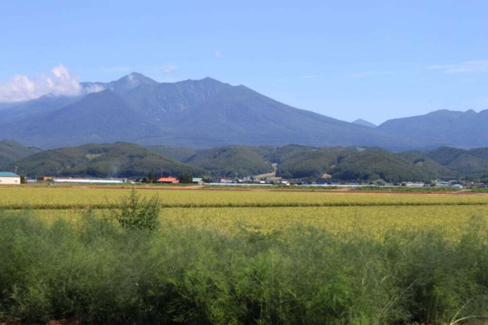 プライベートな空間を楽しめる!田園の中に佇むコテージ4243359