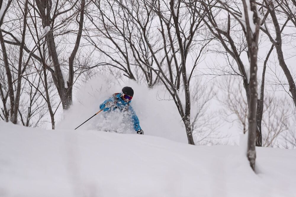 スノー スポーツとスキー