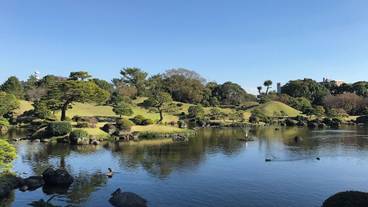 水前寺成趣園 / 7
