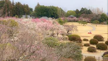 観光スポット / 5