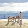【奈良】女子一人旅で泊まりたいホテル｜おしゃれな “だけじゃない” 6選
