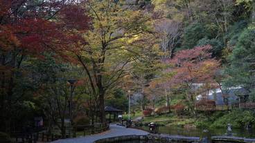 観光スポット / 29