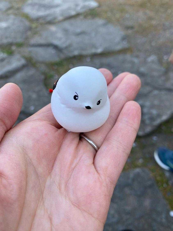 zonomeguさんの写真 / 2