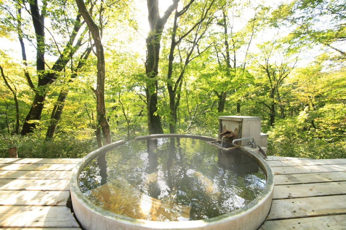 女性に嬉しい美肌の湯で心身ともに潤う4253624