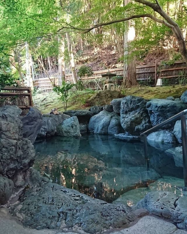 usakonchanさんの写真 / 2