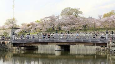 観光スポット / 8