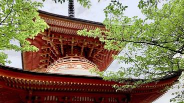 観光スポット / 23