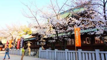 ランド ビュー / 10