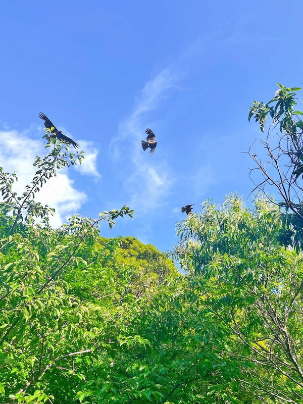 施設からの眺望