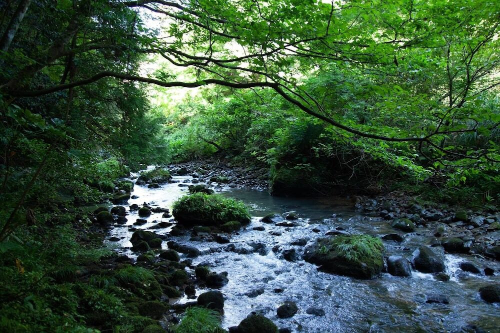 目の前に広がる景色に思わず圧倒！自然の中でくつろげるお宿4245018