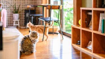 施設内の設備 / 17