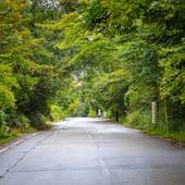 9種の湯めぐり宿 ザ・ページェント（栃木県 ペンション） / 3