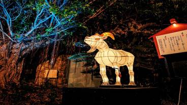 施設からの眺望 / 36