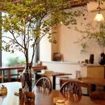 札幌のオシャレカフェ♪地元民にも人気の乙女心くすぐられるお店10選