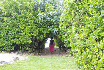 7.【海みるテラスの宿】ウミガメも訪れる神秘的な海と自然に癒される3547153