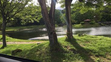 施設の敷地 / 12