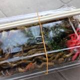 渓流広場レストラン（ケイリュウヒロバレストラン）