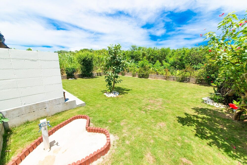 テラス / パティオ