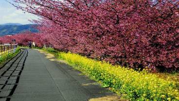 ランド ビュー / 17