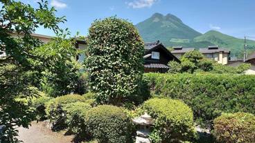 マウンテン ビュー / 23