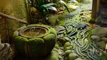 [Garden] Image 03 / 22