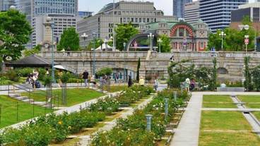 観光スポット / 15