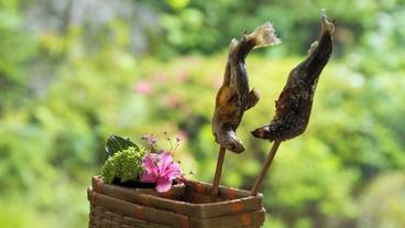 食事・飲み物 / 13