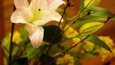 内装の詳細 / 27