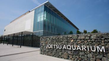 観光スポット / 8