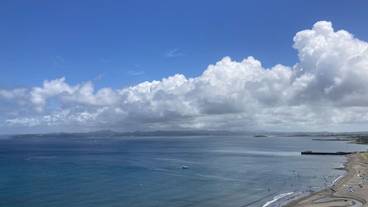 ビーチ / オーシャン ビュー / 2