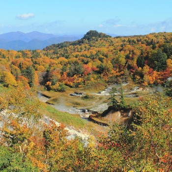 ヒバ造りの6つの湯船にご注目!3631221