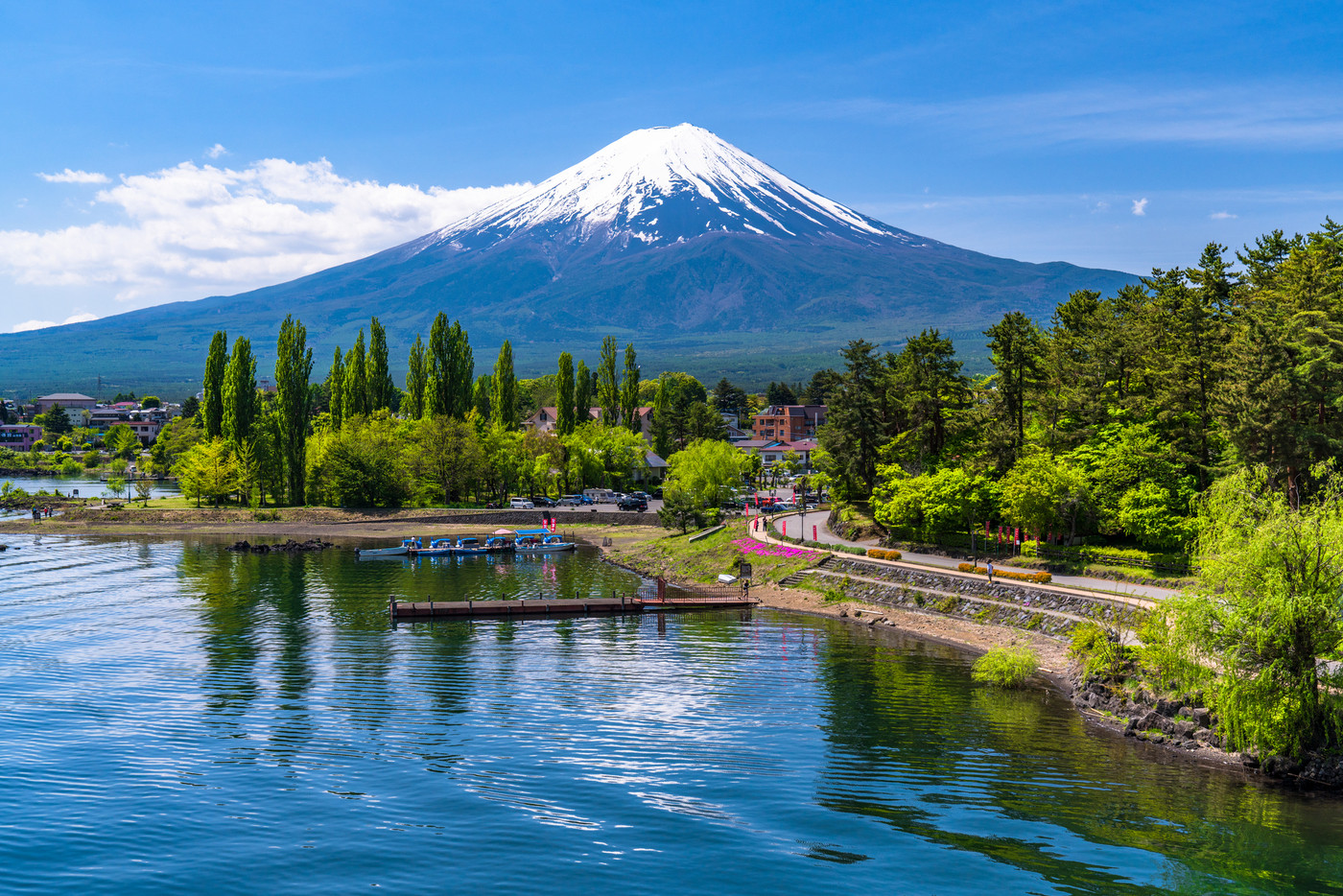 《山梨県》初夏の富士山・河口湖