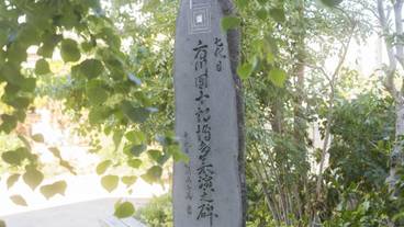 シティ ビュー / 14