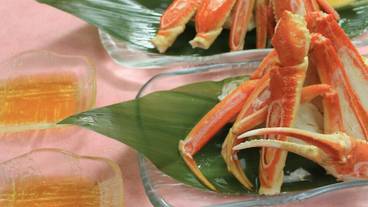 食事・飲み物 / 19