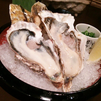 「かきんちゅ」料理 945704 生牡蠣