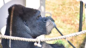 観光スポット / 7