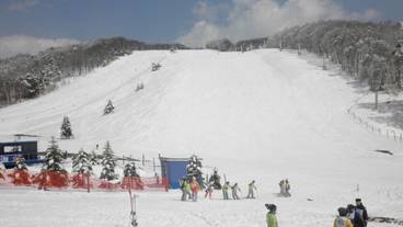 スノー スポーツとスキー / 10