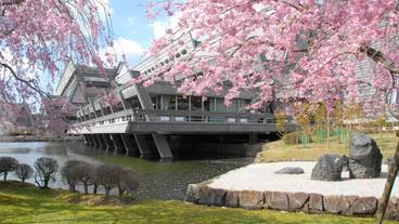 観光スポット / 11