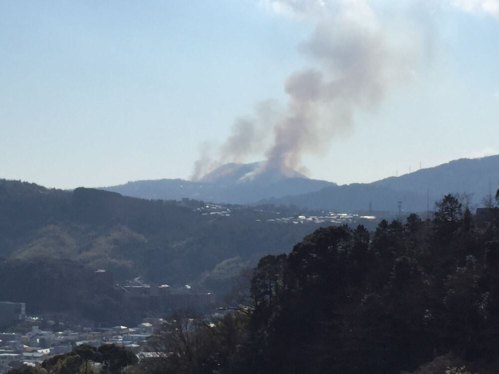 部屋からの景観